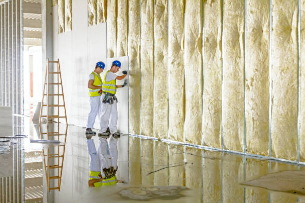 Types of Insulation We Offer in Homeacre Lyndora, PA